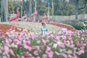 BIB: 
                            <button type="button" onclick="openModal(27343992)" class="btn btn-primary btn-sm float-right btn-popup" data-toggle="modal" data-target=".modal-high-quality">
                        <i class="fas fa-shopping-cart"></i> Add to Cart
                    </button>
                                            <button type="button" onclick="isThisMe(27343992, true)" class="btn btn-success btn-sm float-right btn-popup btn-isme hidden" data-toggle="tooltip" data-placement="bottom" title="นี่คือรูปของคุณใช่ไหม คลิกที่นี่เพื่อเอาเข้าอัลบั้ม">
                        <i class="fas fa-plus"></i> Add to album
                    </button>
                    <button type="button" onclick="isThisMe(27343992, false)" class="btn btn-warning btn-sm float-right btn-popup btn-isnotme hidden">
                        <i class="fas fa-ban"></i> Remove from album
                    </button>